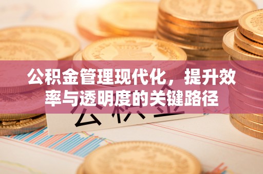 宁晋公积金管理现代化，提升效率与透明度的关键路径