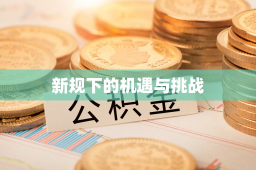 宁晋新规下的机遇与挑战