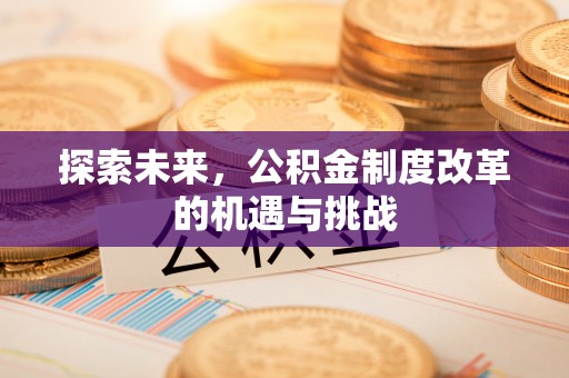 宁晋探索未来，公积金制度改革的机遇与挑战