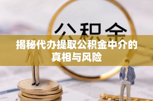 宁晋揭秘代办提取公积金中介的真相与风险