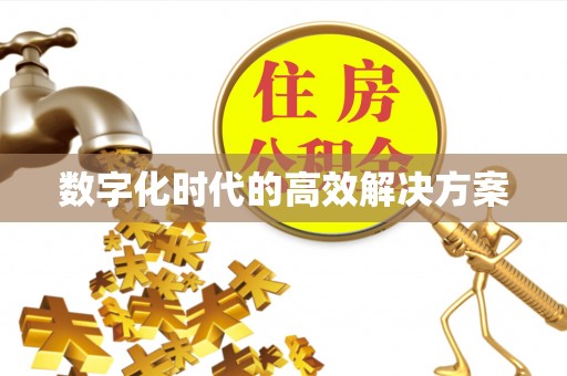 宁晋数字化时代的高效解决方案