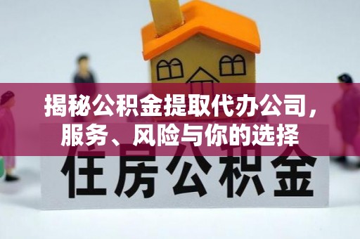 宁晋揭秘公积金提取代办公司，服务、风险与你的选择