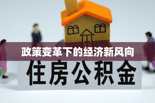 宁晋政策变革下的经济新风向