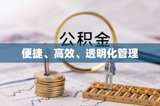 宁晋便捷、高效、透明化管理