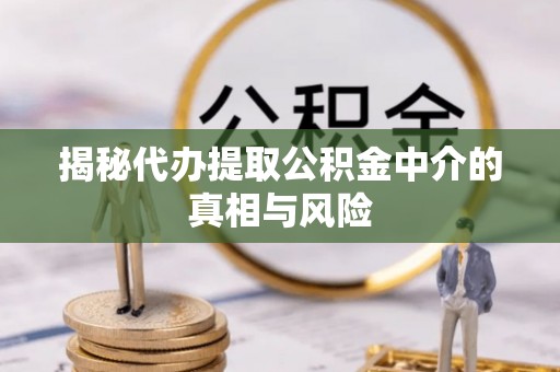 宁晋揭秘代办提取公积金中介的真相与风险