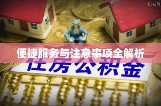 宁晋便捷服务与注意事项全解析