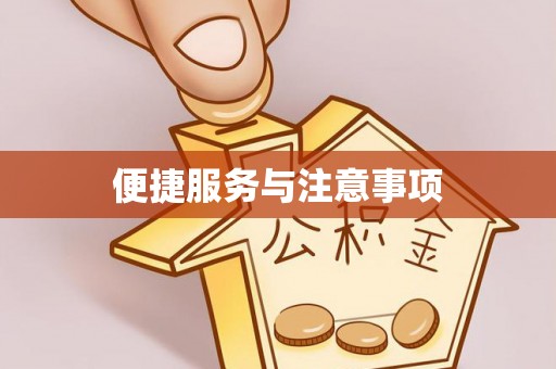 宁晋便捷服务与注意事项