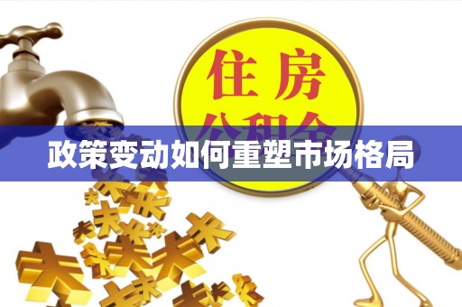 宁晋政策变动如何重塑市场格局