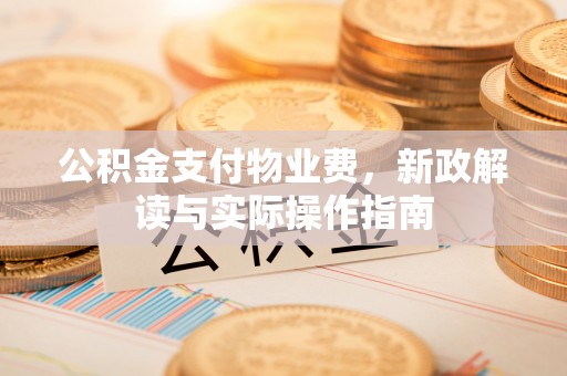 宁晋公积金支付物业费，新政解读与实际操作指南
