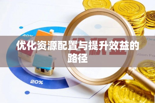 宁晋优化资源配置与提升效益的路径