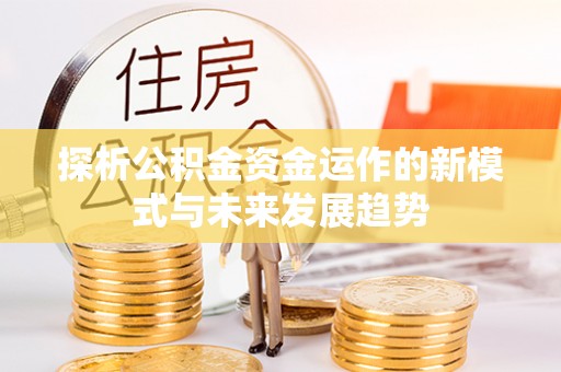 宁晋探析公积金资金运作的新模式与未来发展趋势