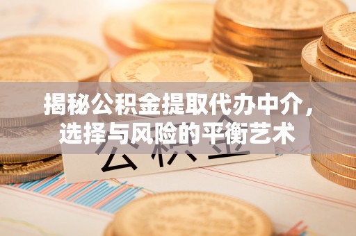 宁晋揭秘公积金提取代办中介，选择与风险的平衡艺术