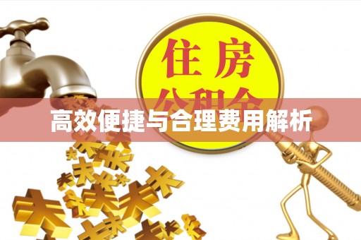 宁晋高效便捷与合理费用解析