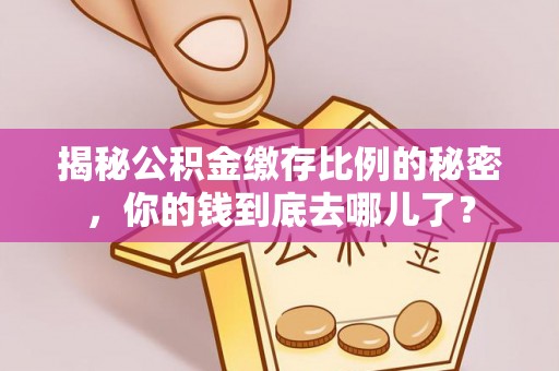 宁晋揭秘公积金缴存比例的秘密，你的钱到底去哪儿了？