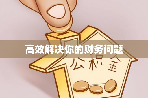 宁晋高效解决你的财务问题