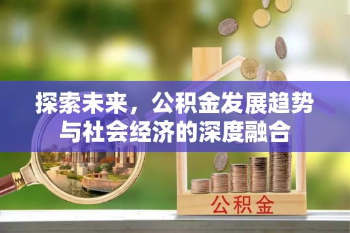 宁晋探索未来，公积金发展趋势与社会经济的深度融合