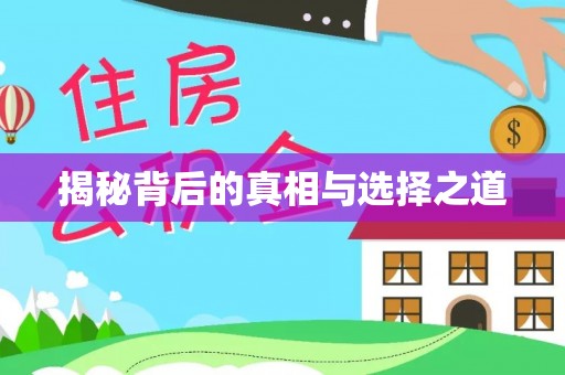 宁晋揭秘背后的真相与选择之道
