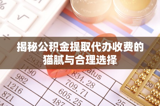 宁晋揭秘公积金提取代办收费的猫腻与合理选择