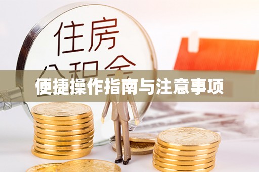 宁晋便捷操作指南与注意事项