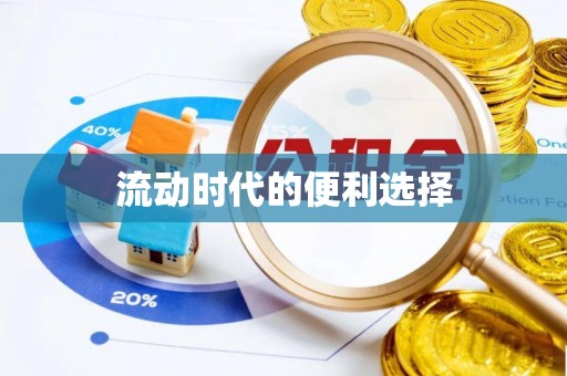 宁晋流动时代的便利选择